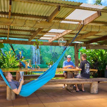 On The Wallaby Eco Lodge Yungaburra Esterno foto