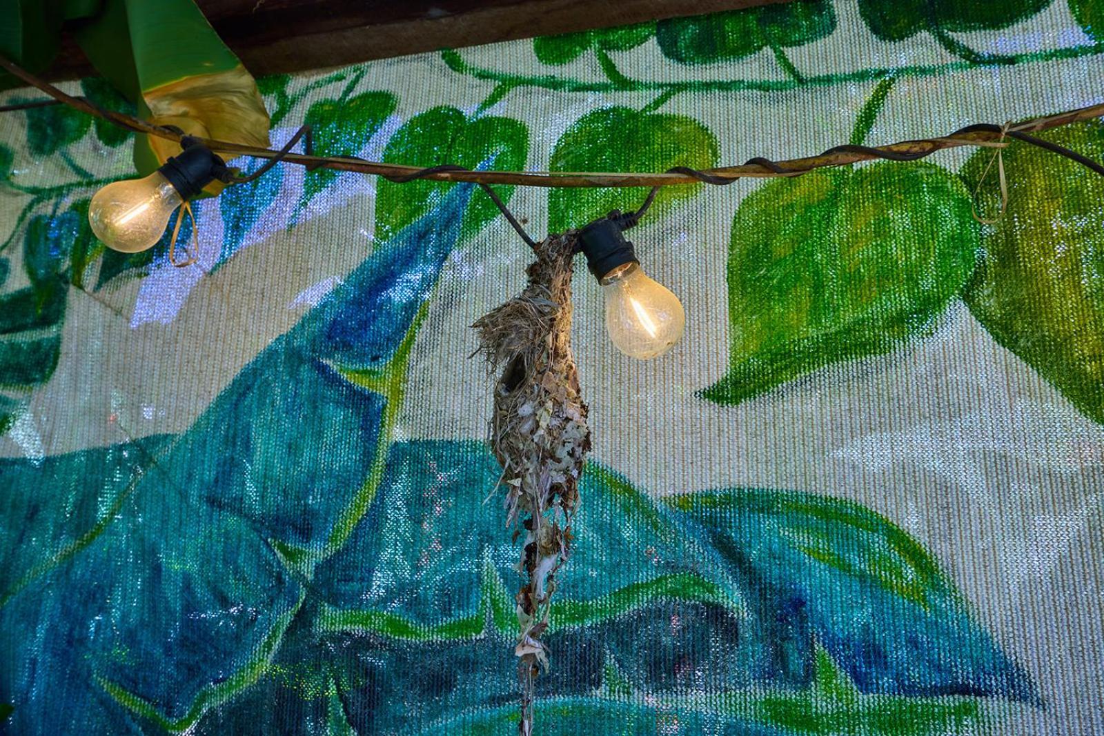 On The Wallaby Eco Lodge Yungaburra Esterno foto
