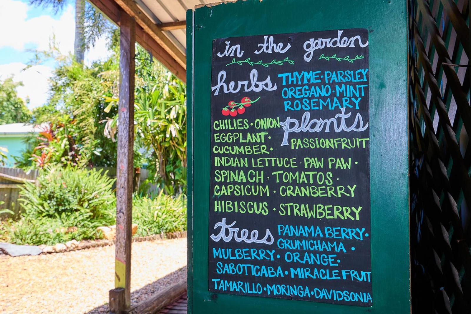 On The Wallaby Eco Lodge Yungaburra Esterno foto